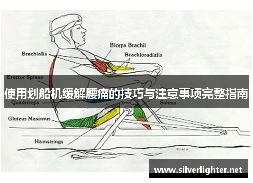 使用划船机缓解腰痛的技巧与注意事项完整指南